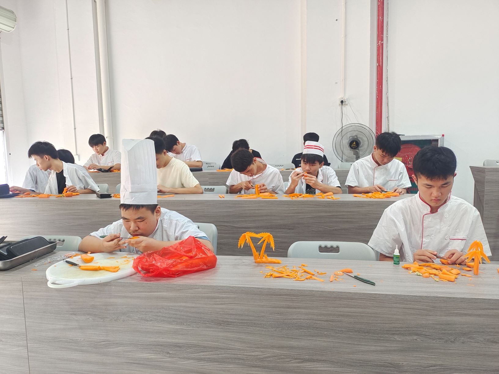 学生作品展示丨星空体育登录网页入口(中国)官方网站